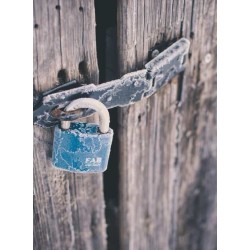 Website hosting combo for small private security companies