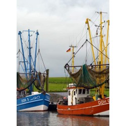 Website hosting combo for seafood producers and packers
