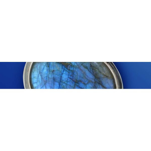Labradotite Package Customer Risk Management Survey - Dedicated Surveys Hosting